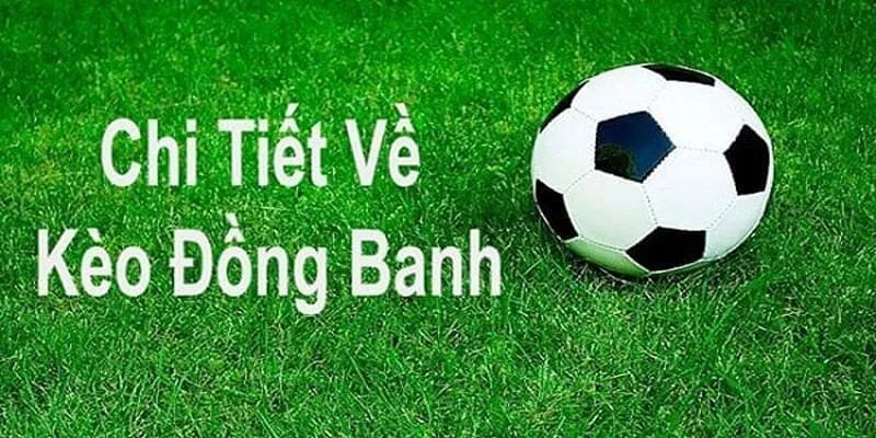 Giới thiệu một số thông tin cơ bản về kèo hòa